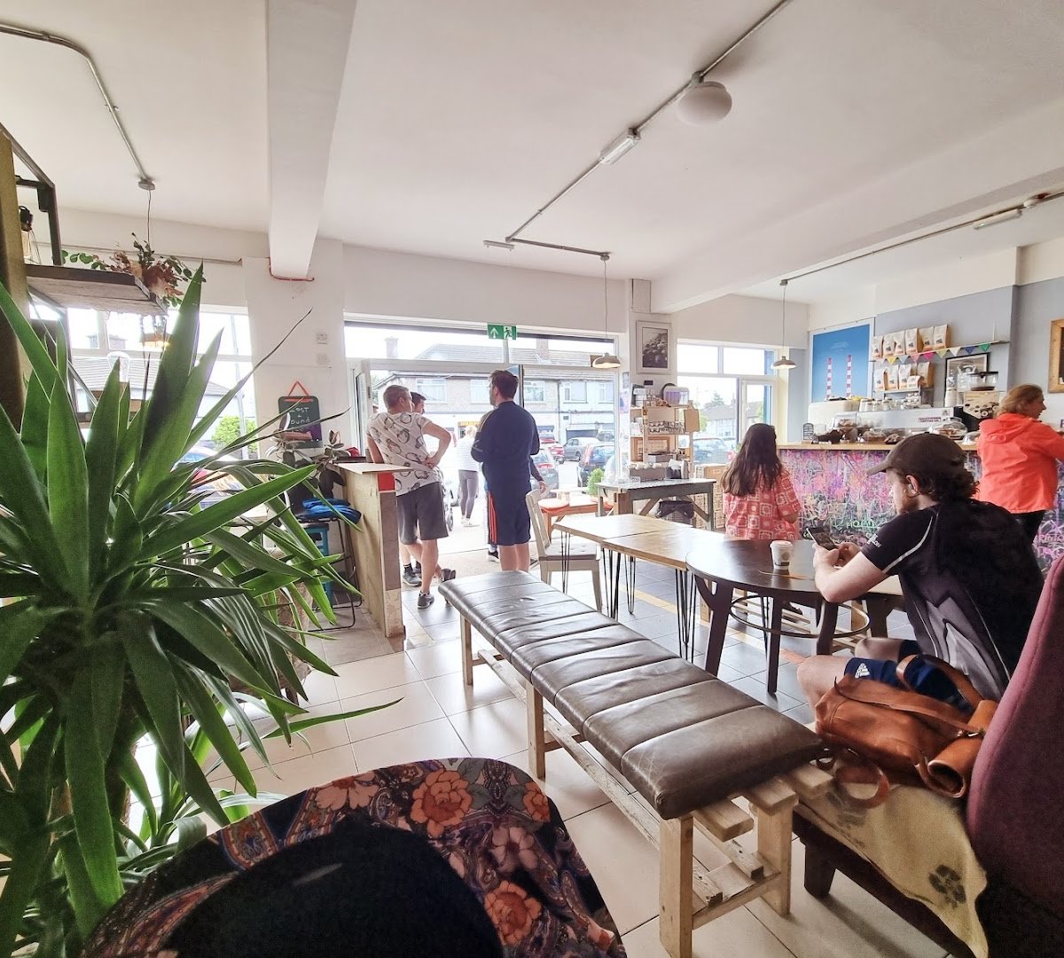 Driftwood Coffee Co. specialty coffee shop in Dublin - photo 7
