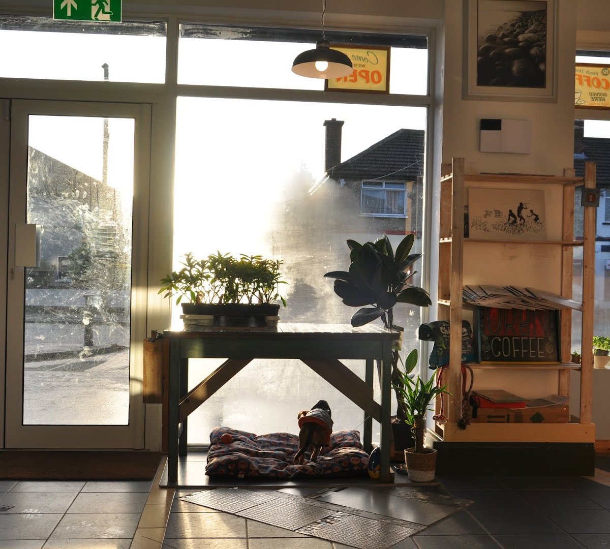Driftwood Coffee Co. specialty coffee shop in Dublin - photo 8