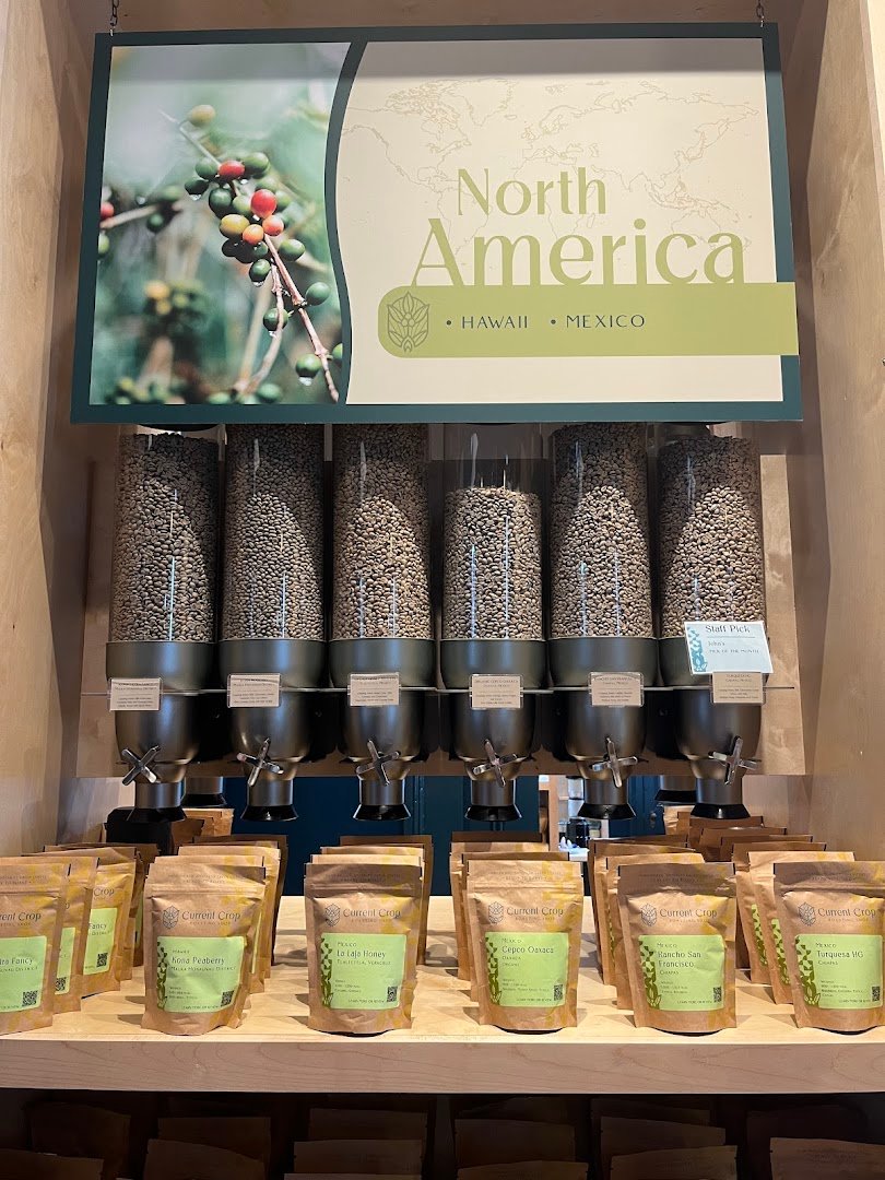 Interior of Current Crop Roasting Shop, specialty coffee shop in New Orleans