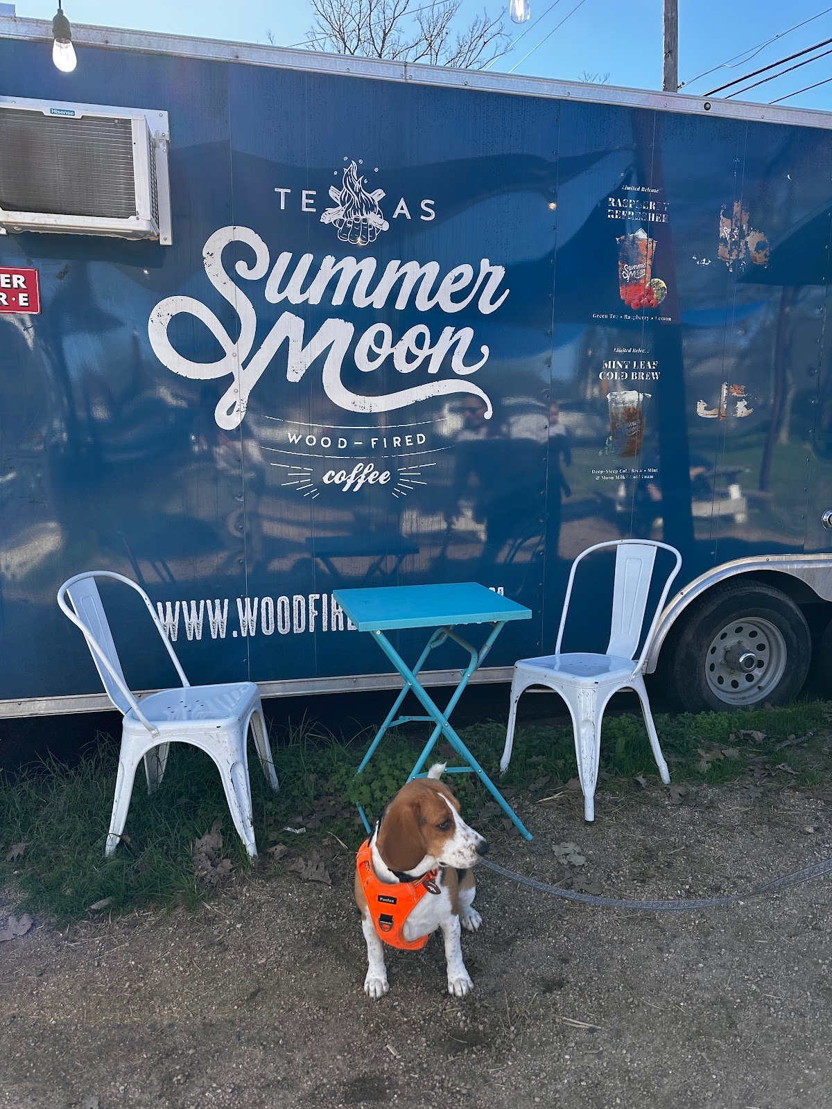 Summer Moon Coffee (Mobile Moon) specialty coffee shop in Austin - photo 6