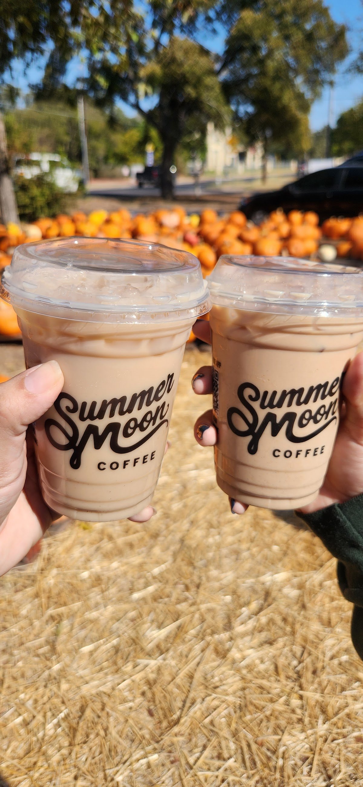 Summer Moon Coffee (Mobile Moon) specialty coffee shop in Austin - photo 8