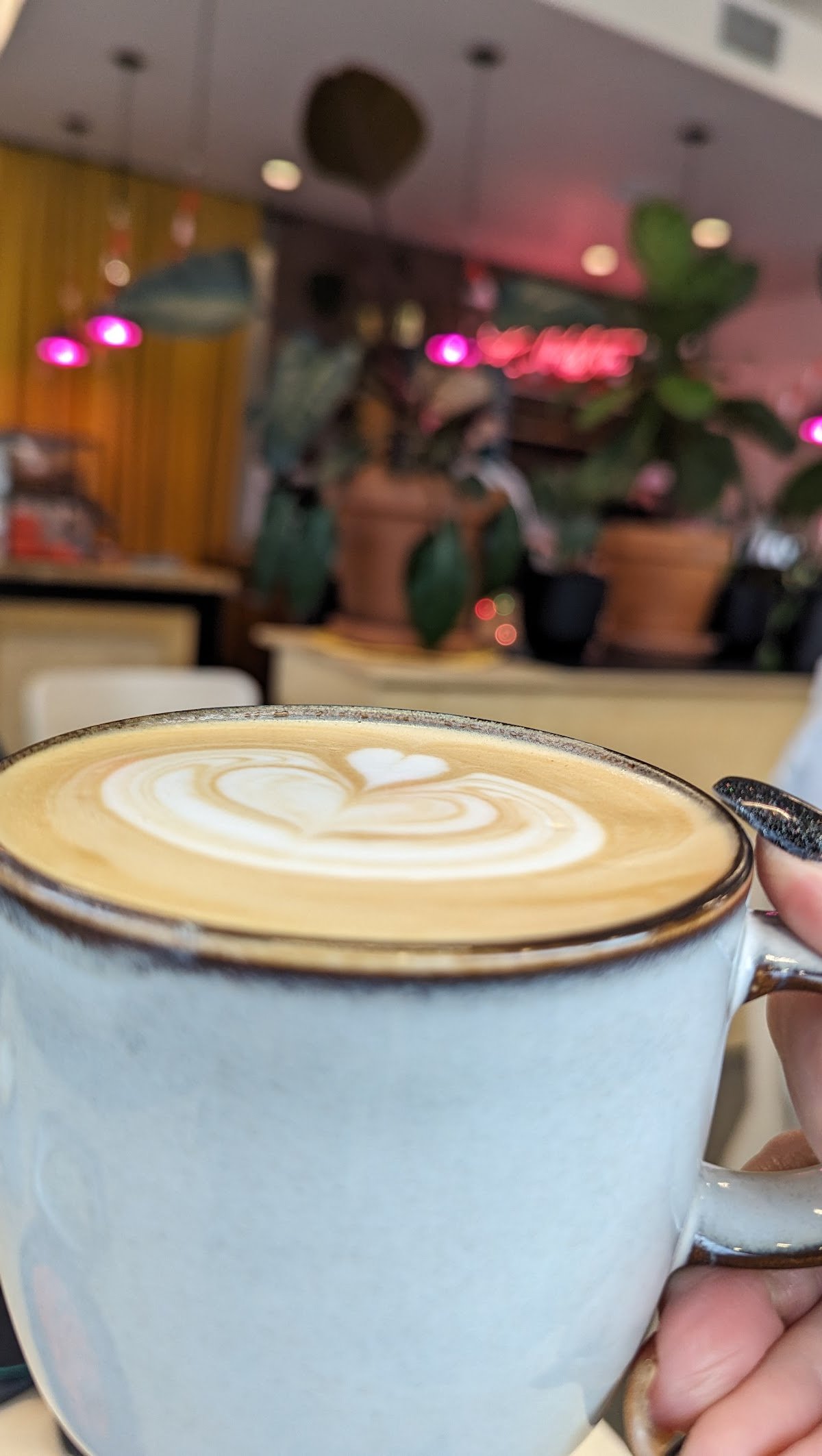 La Perlita specialty coffee shop in Portland - photo 10