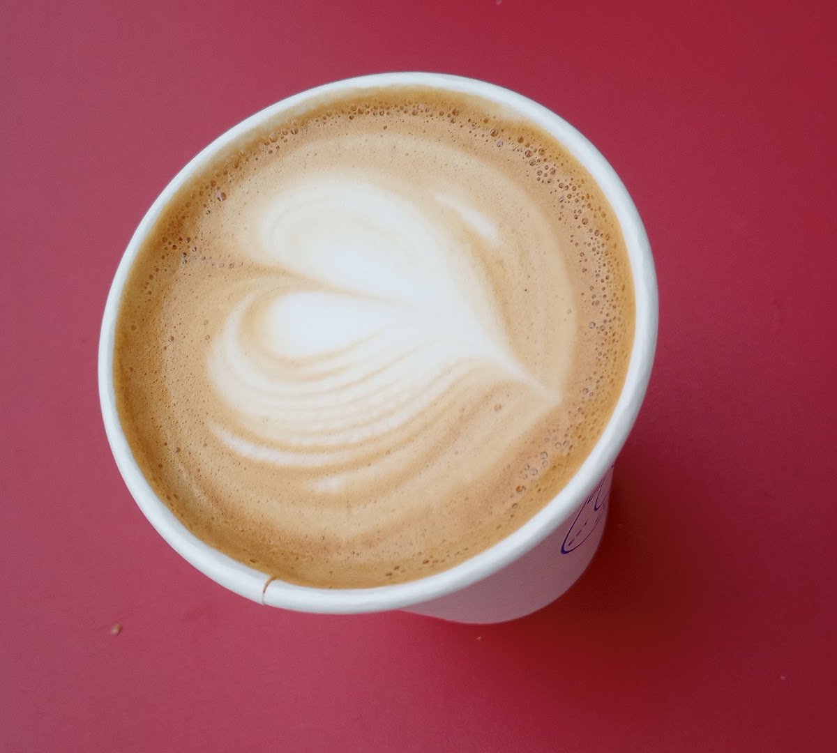 Coffee at Snow White Coffee, specialty coffee shop in Oakland