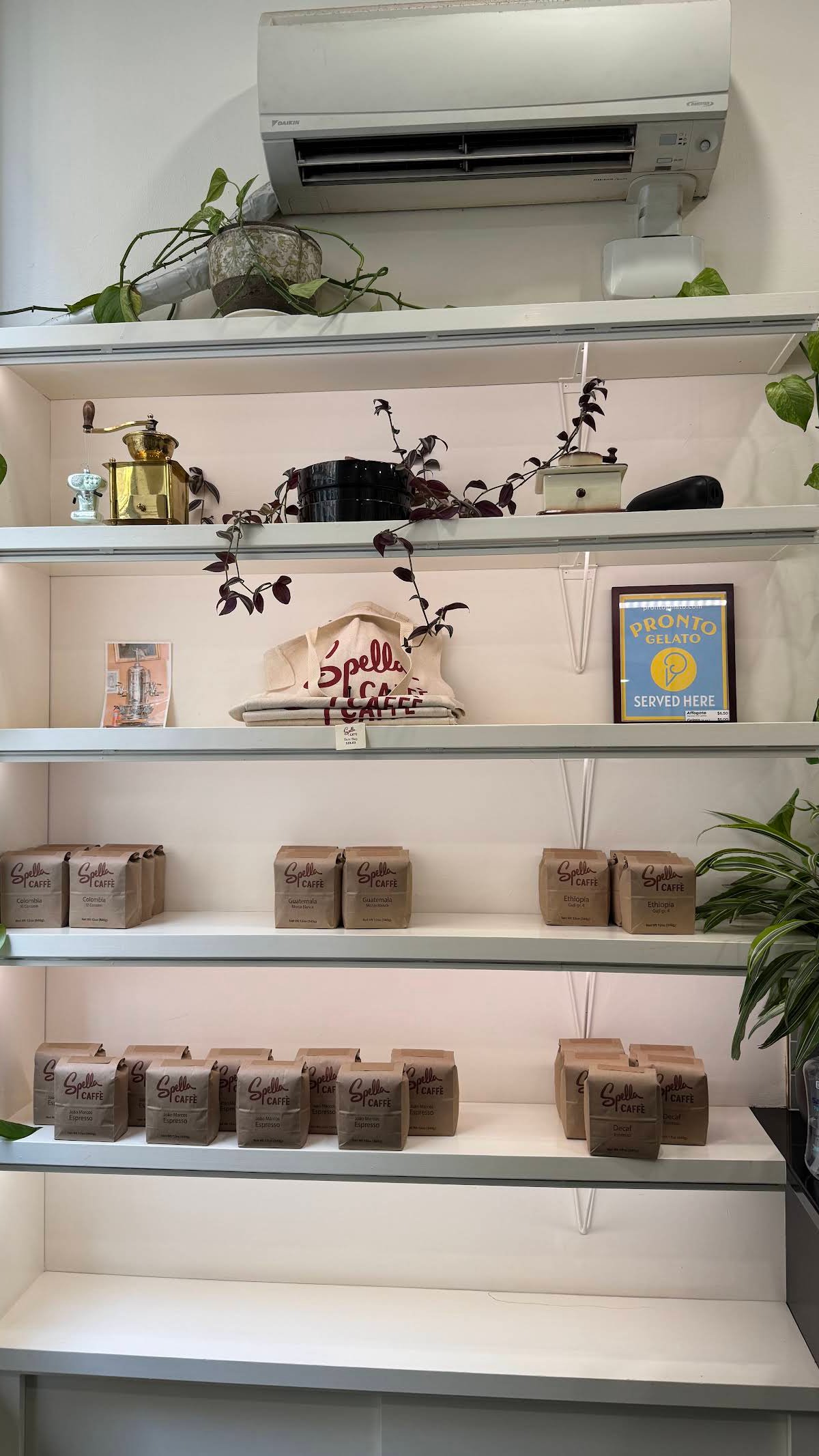 Spella Caffè @ Alder Street specialty coffee shop in Portland - photo 13