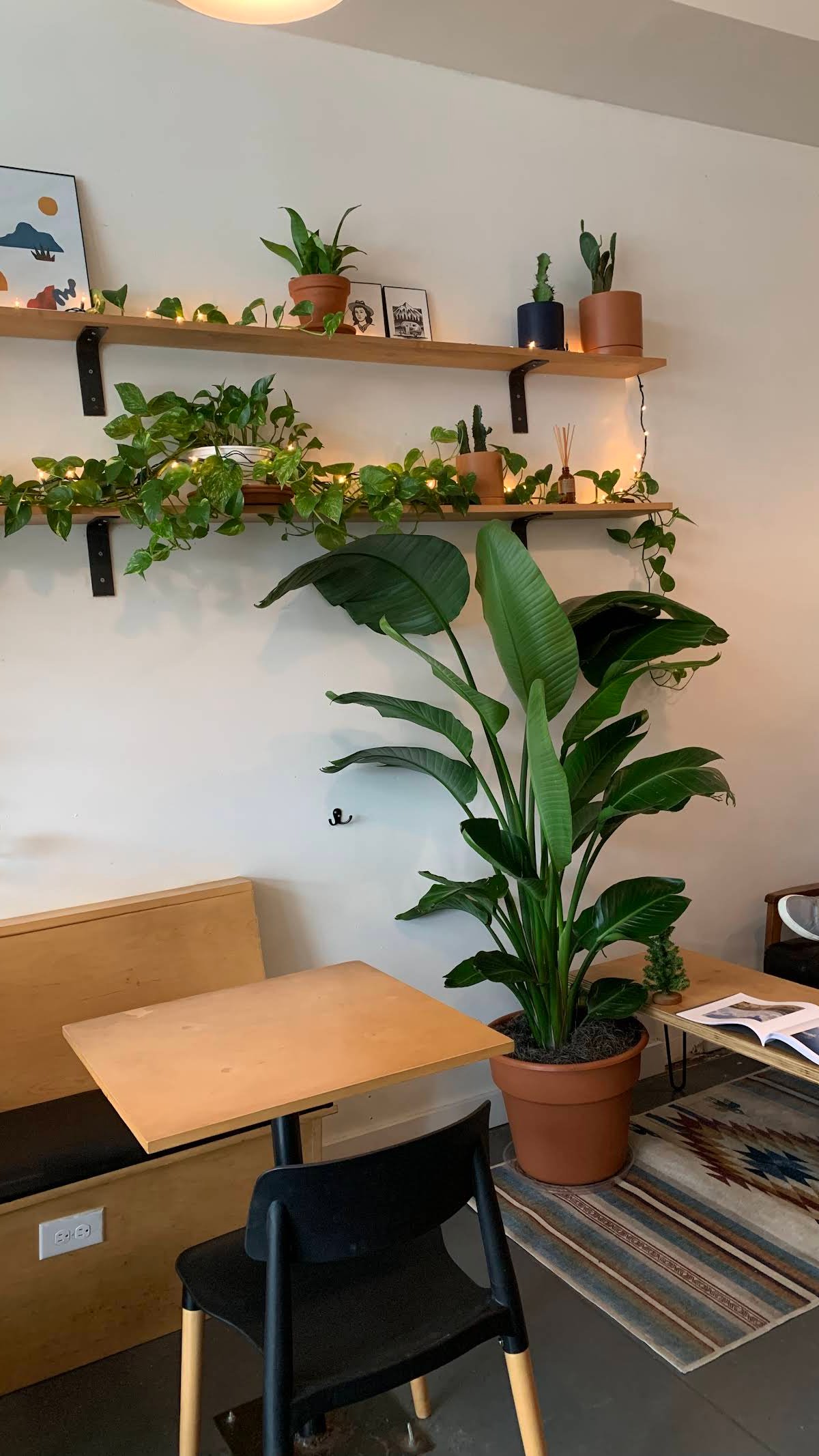 Wayward Coffee Co specialty coffee shop in Dallas - photo 17