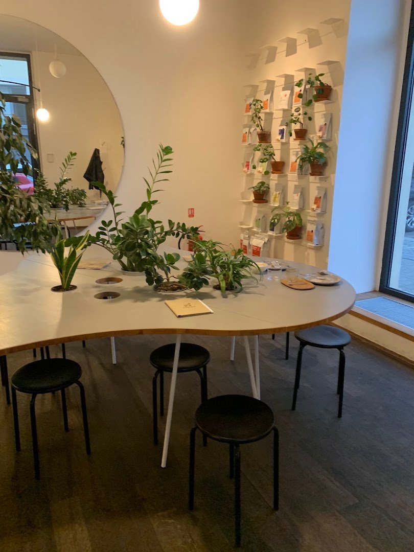 Interior of TYPIKA Nusle, specialty coffee shop in Prague