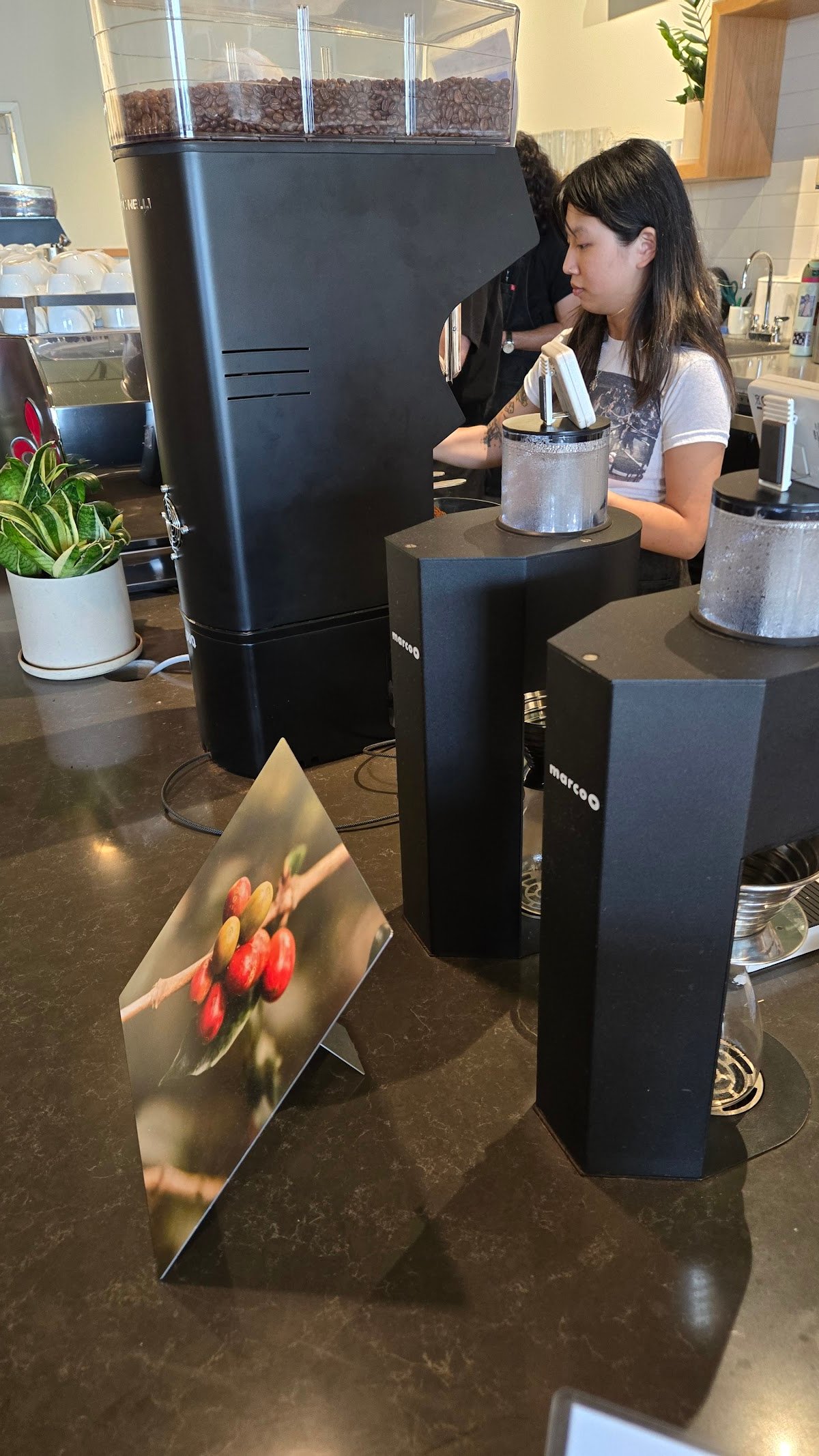 Crema Coffee Roasters specialty coffee shop in Nashville - photo 6