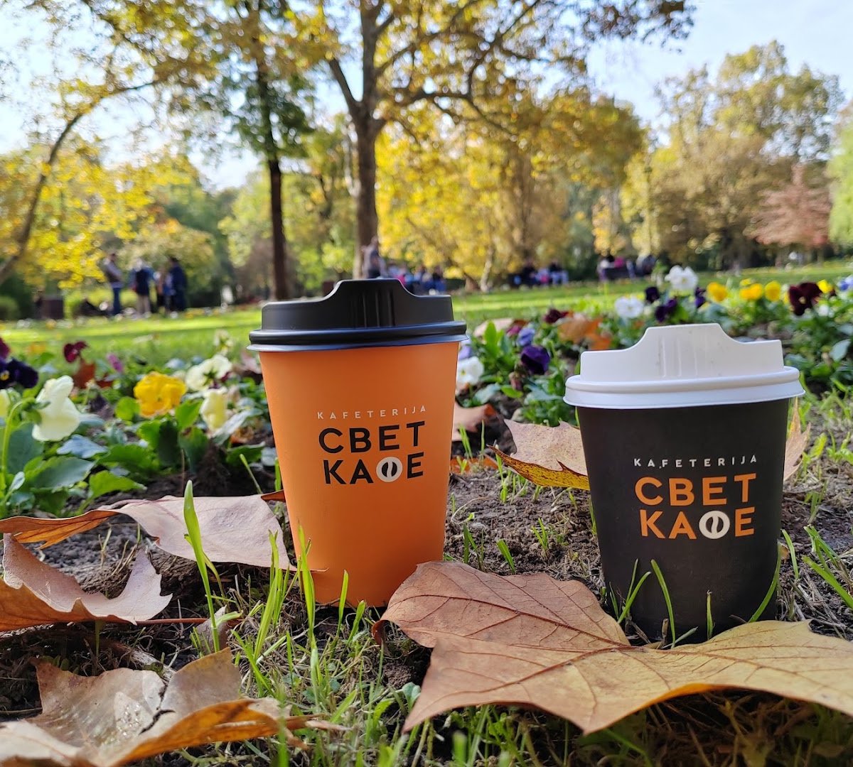 Coffee at Kafeterija - Svet Kafe, specialty coffee shop in Belgrade