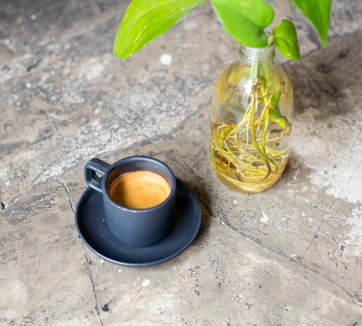 Coffee at Camino a Comala: Café de Especialidad, specialty coffee shop in Mexico City