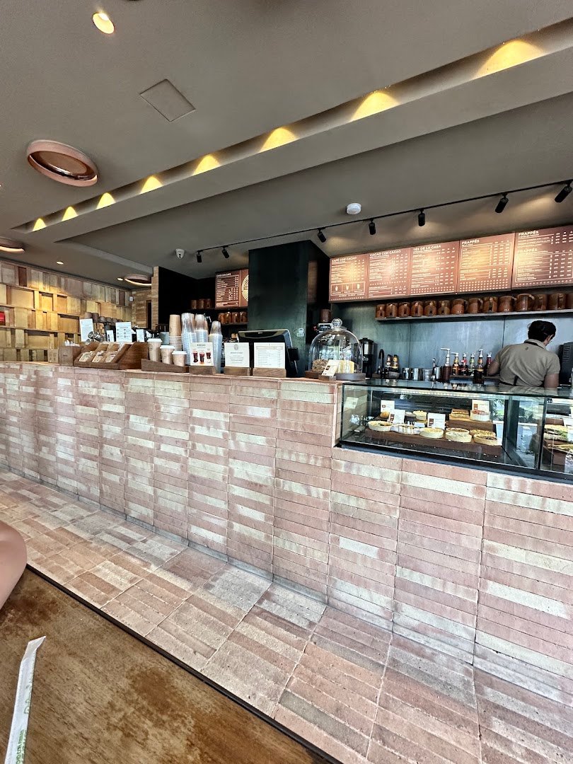 Interior of Tierra Garat, specialty coffee shop in Mexico City