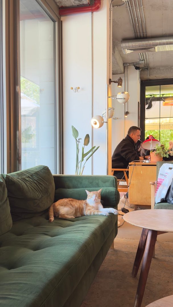 Kronotrop Levent Eatery specialty coffee shop in Istanbul - photo 10