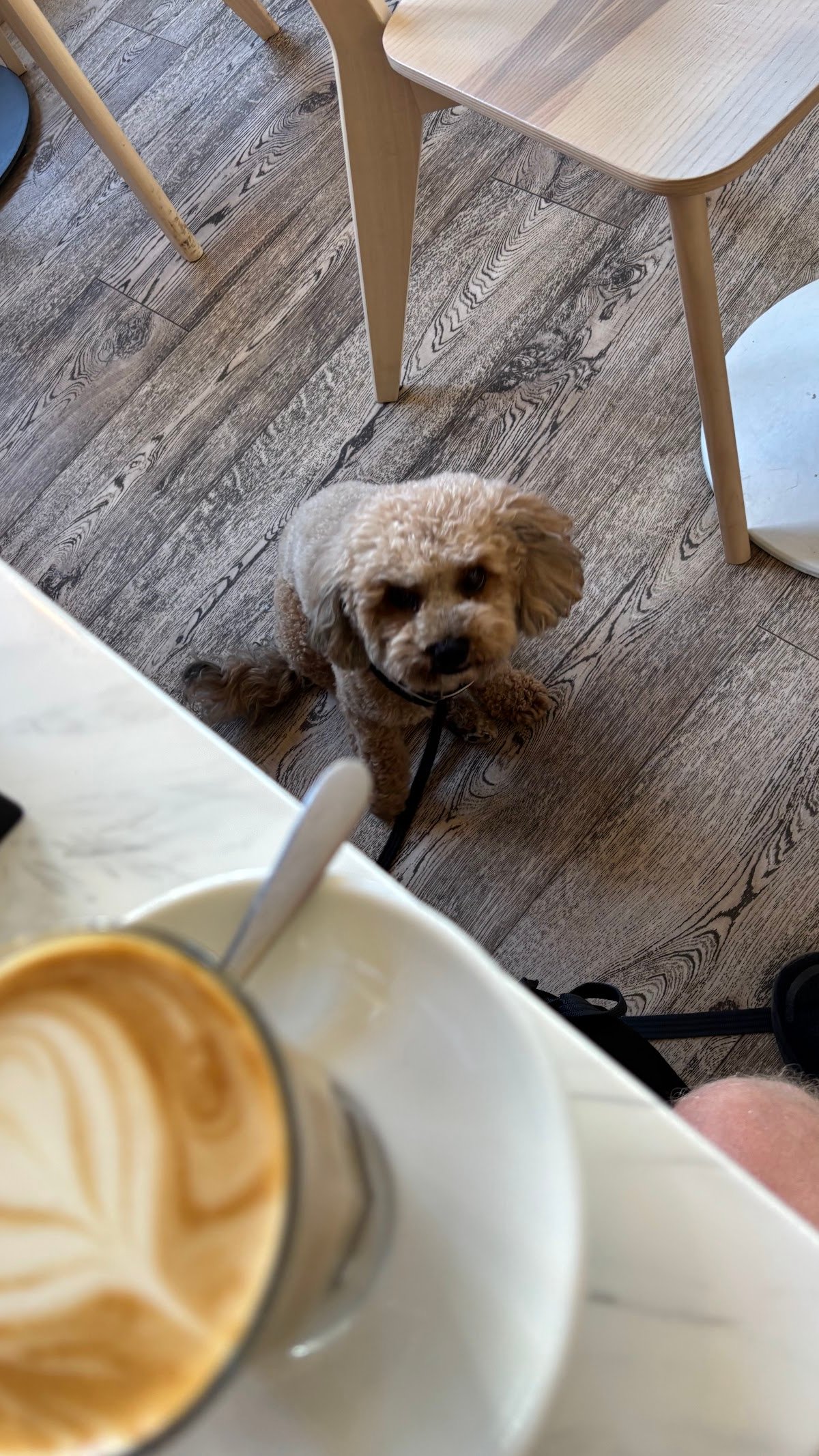 Another Brother specialty coffee shop in London - photo 11