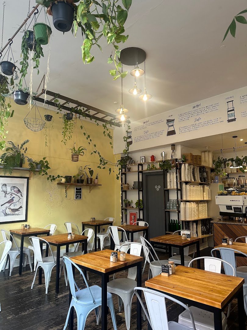Foliage Cafe specialty coffee shop in Bristol - photo 2