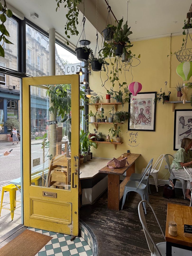 Foliage Cafe specialty coffee shop in Bristol - photo 4