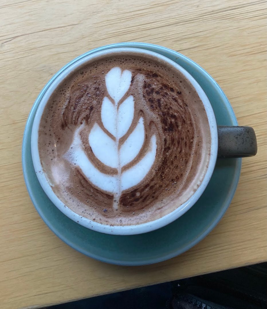 Foliage Cafe specialty coffee shop in Bristol - photo 8