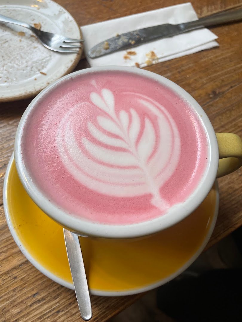 Foliage Cafe specialty coffee shop in Bristol - photo 9