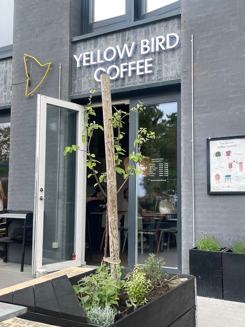 Yellow Bird Coffee specialty coffee shop in Copenhagen - photo 5