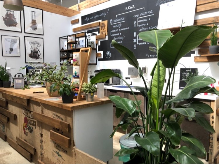 Interior of HAYB Speciality Coffee, specialty coffee shop in Warsaw