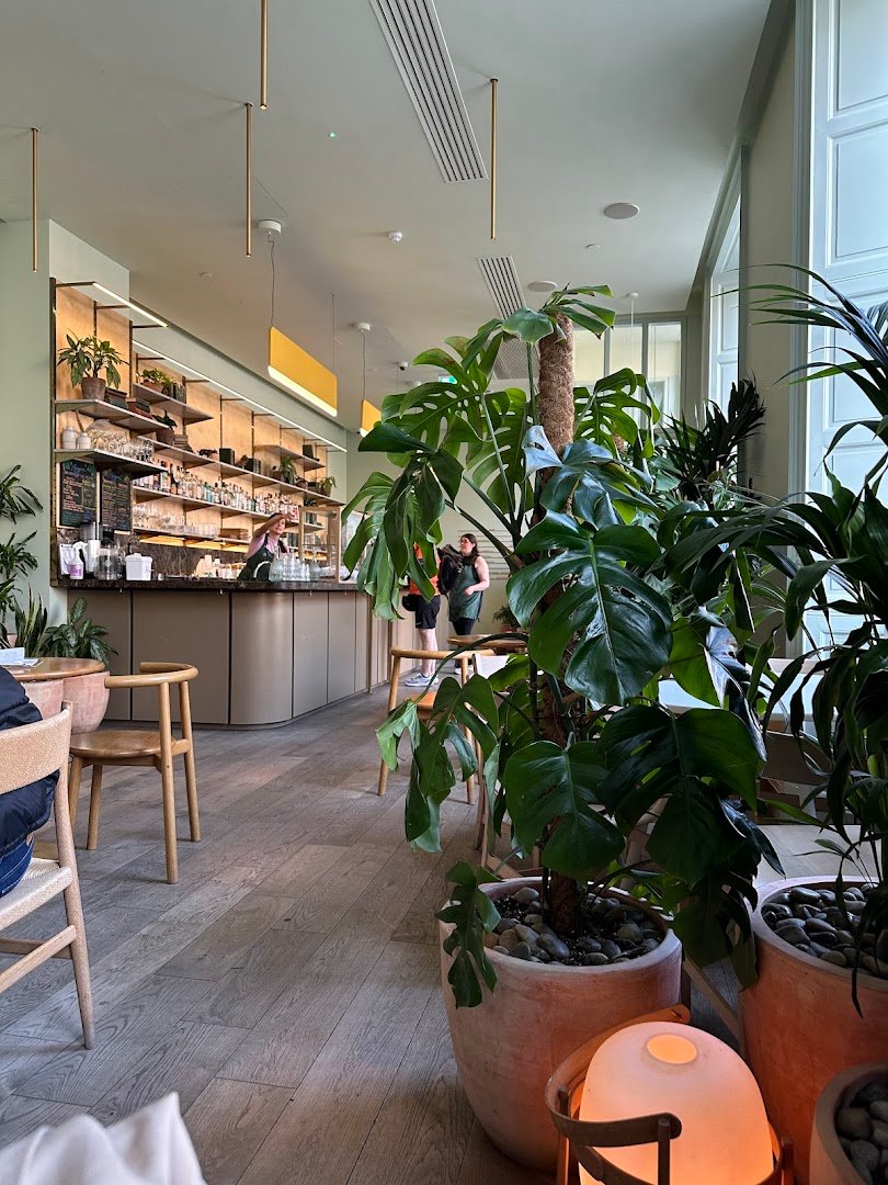 Interior of Mayvn Cafe, specialty coffee shop in Edinburgh