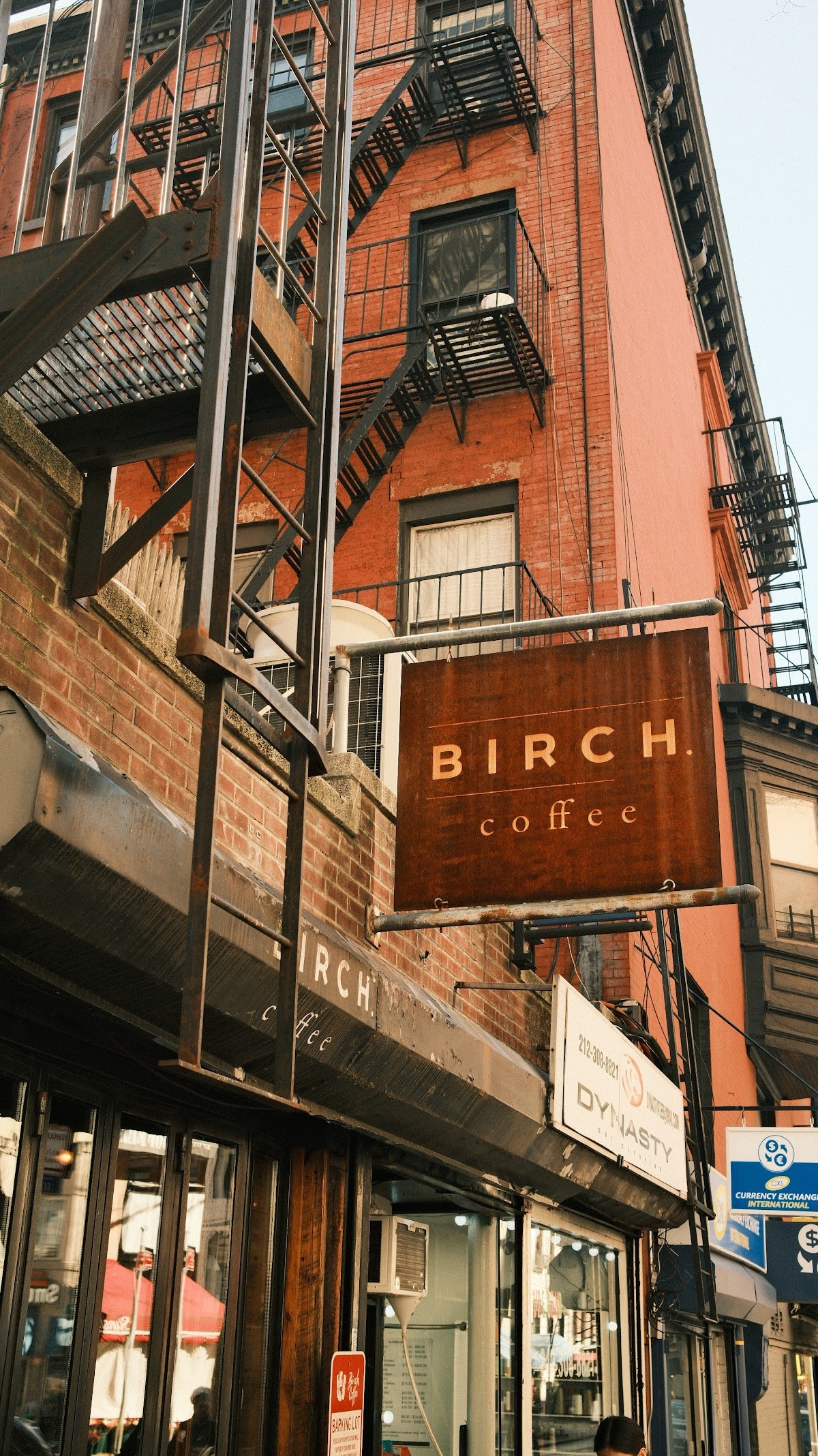 Birch Coffee specialty coffee shop in New York - photo 3