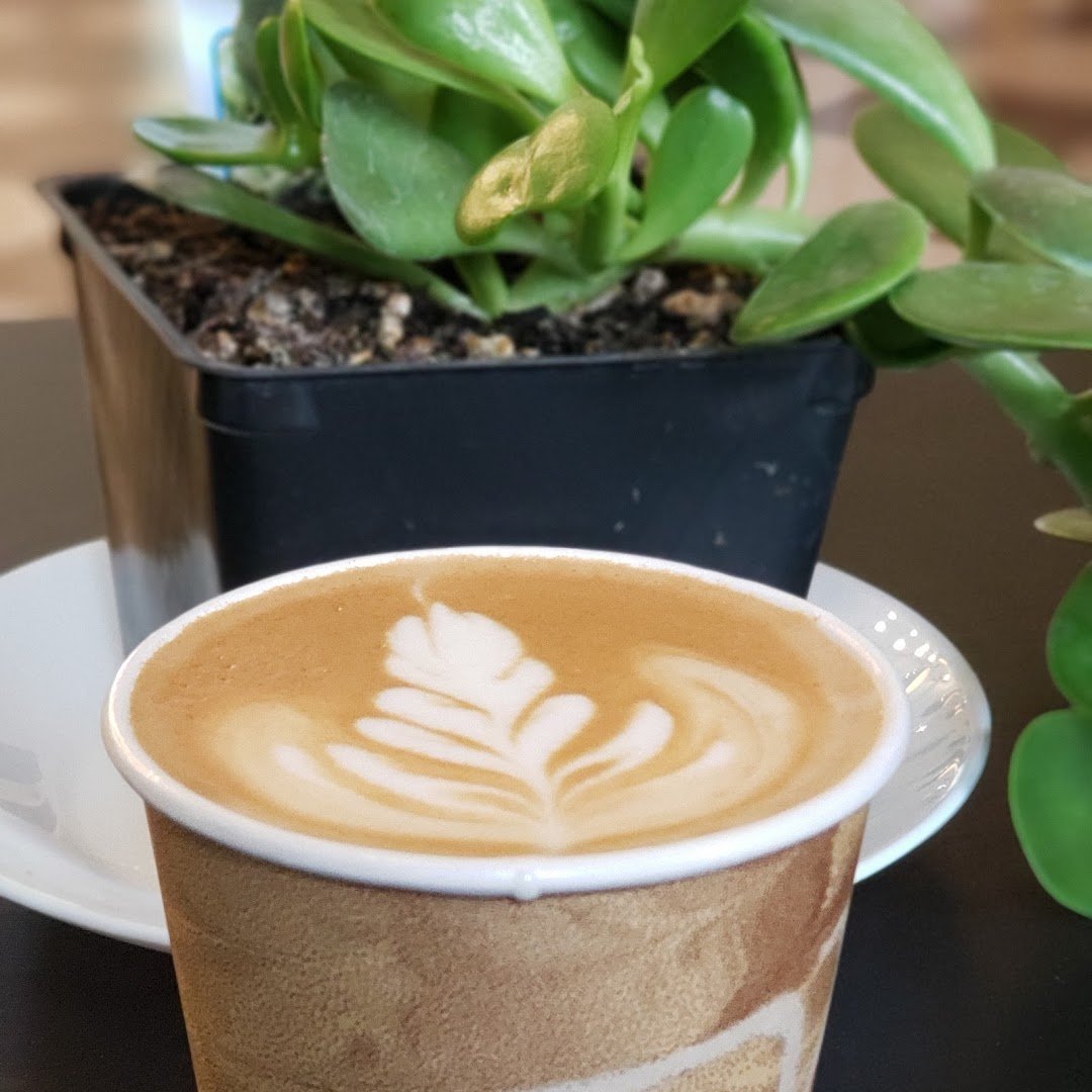 Café Zamora specialty coffee shop in Portland - photo 13