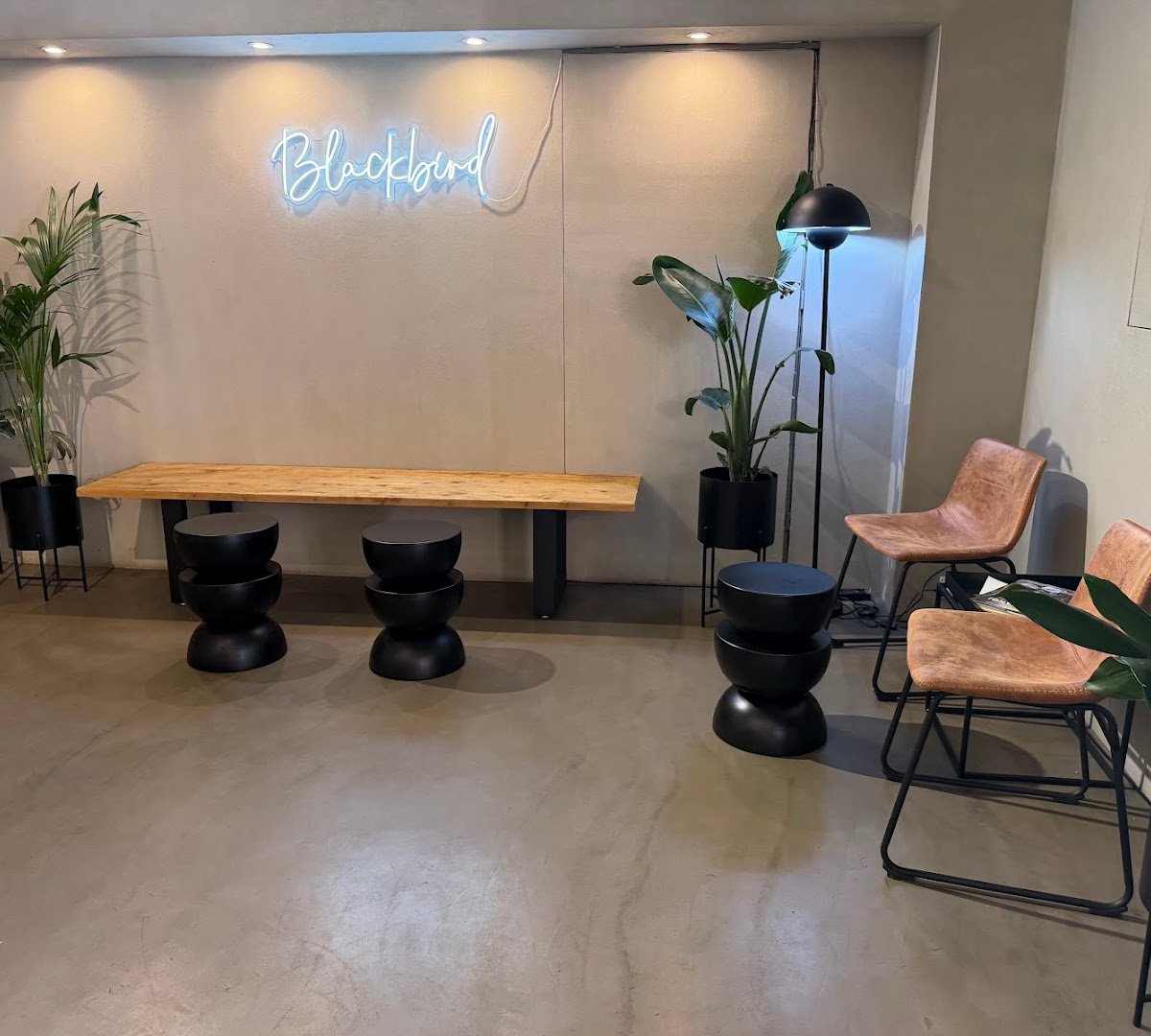 Blackbird Coffee Corner - Balmes specialty coffee shop in Barcelona - photo 2