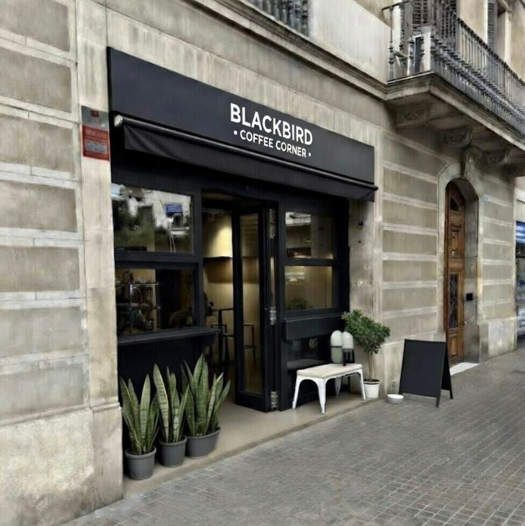Blackbird Coffee Corner - Balmes specialty coffee shop in Barcelona - photo 3