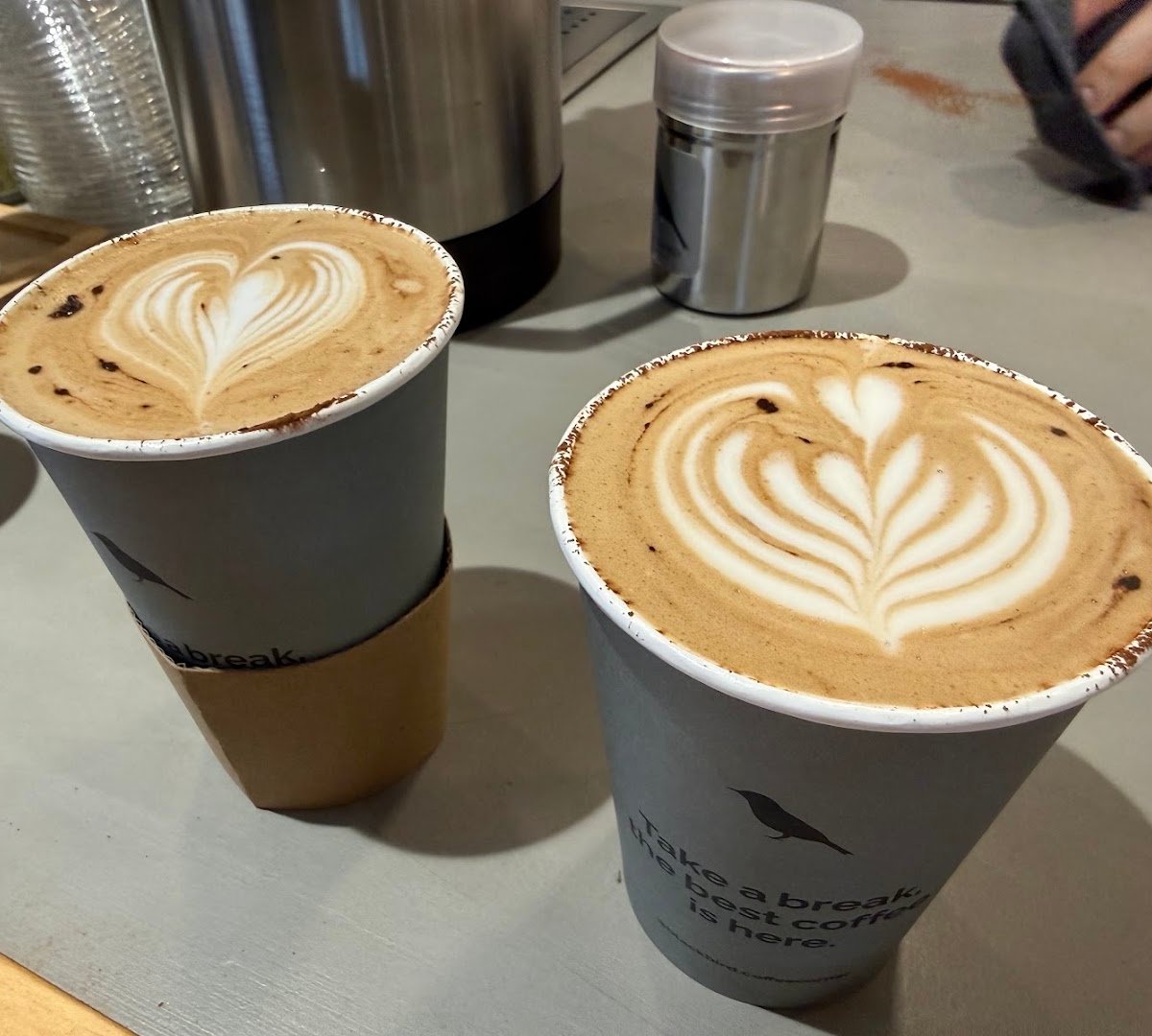 Blackbird Coffee Corner - Balmes specialty coffee shop in Barcelona - photo 8