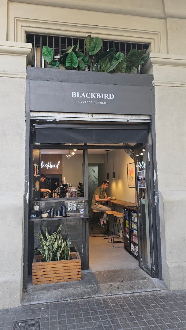 Blackbird Coffee Corner - Balmes specialty coffee shop in Barcelona - photo 10