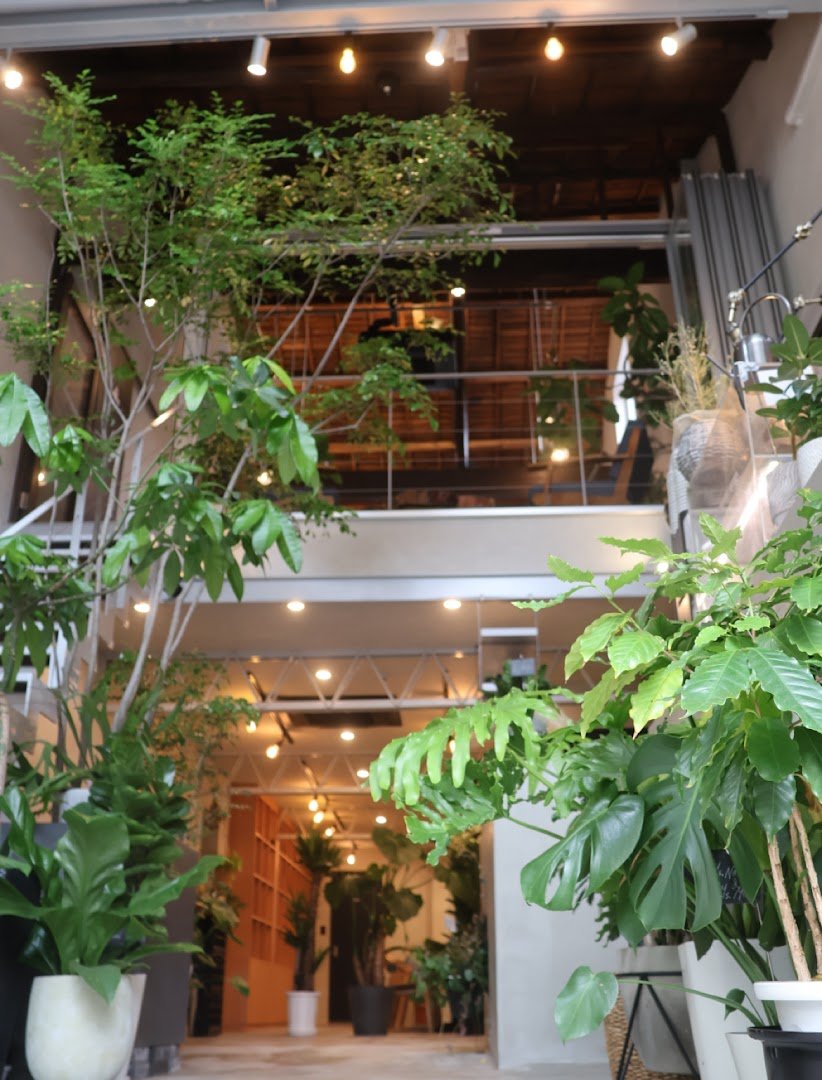 Interior of SHIMATONERIKO 路地裏 COFFEE ROASTER, specialty coffee shop in Osaka