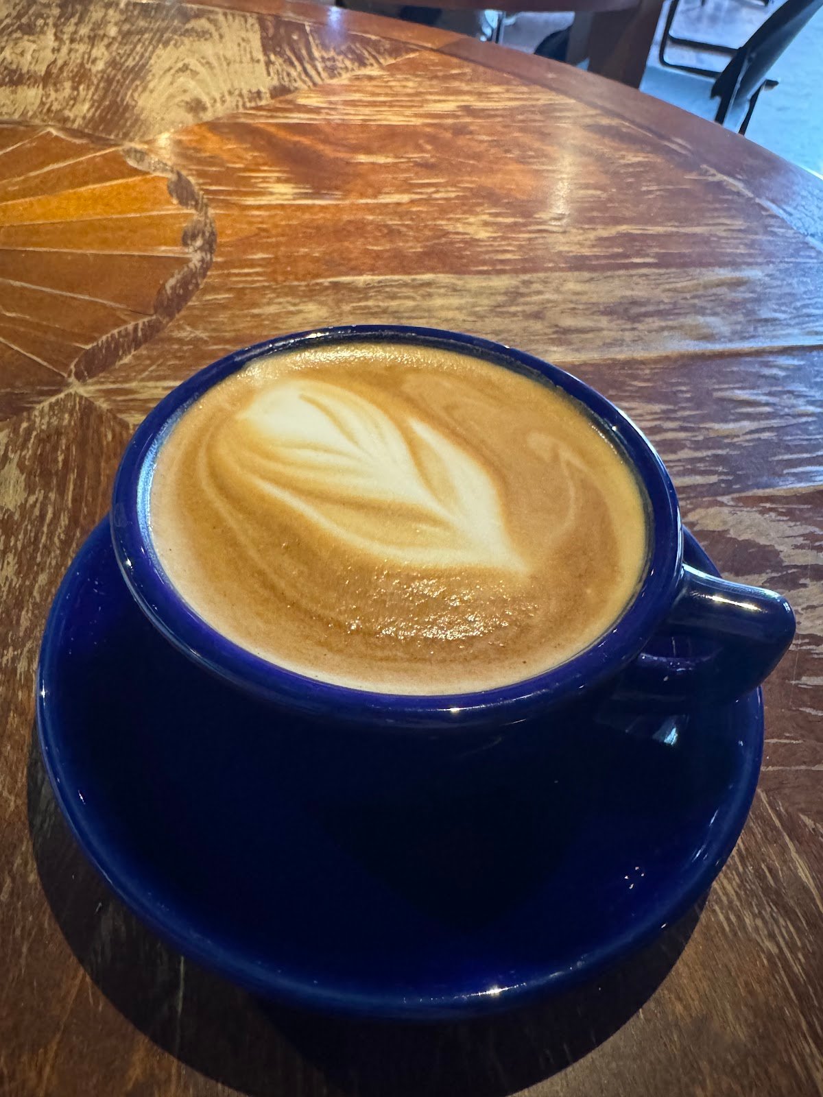 Bennu Coffee specialty coffee shop in Austin - photo 8