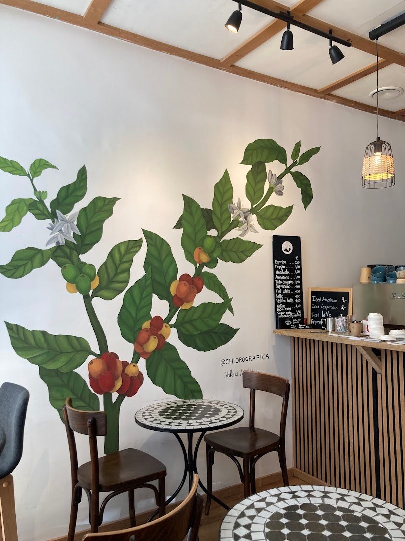 Interior of Don Joaco | Coffeefarm | Coffeebike | Coffeeshop | Coffee Roasters, specialty coffee shop in Vienna