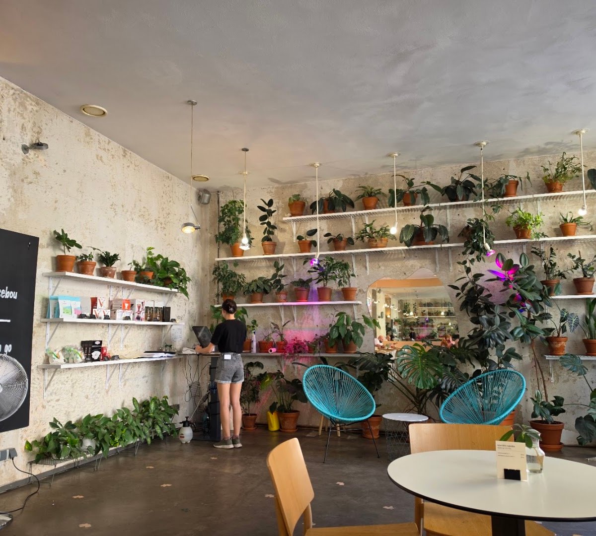 Interior of Mistral Cafe, specialty coffee shop in Prague