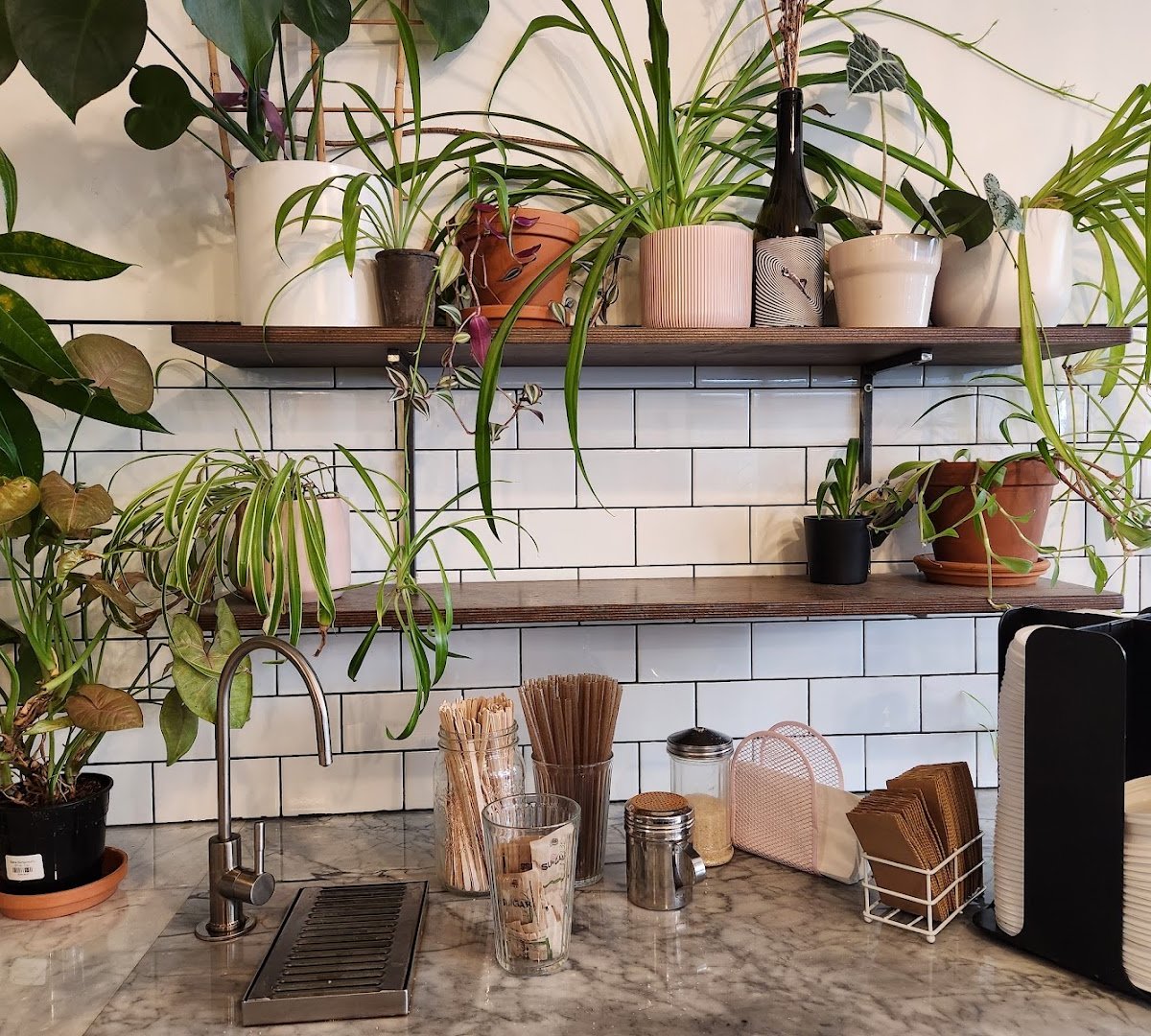 Interior of Café Myriade - Mont-Royal, specialty coffee shop in Montreal