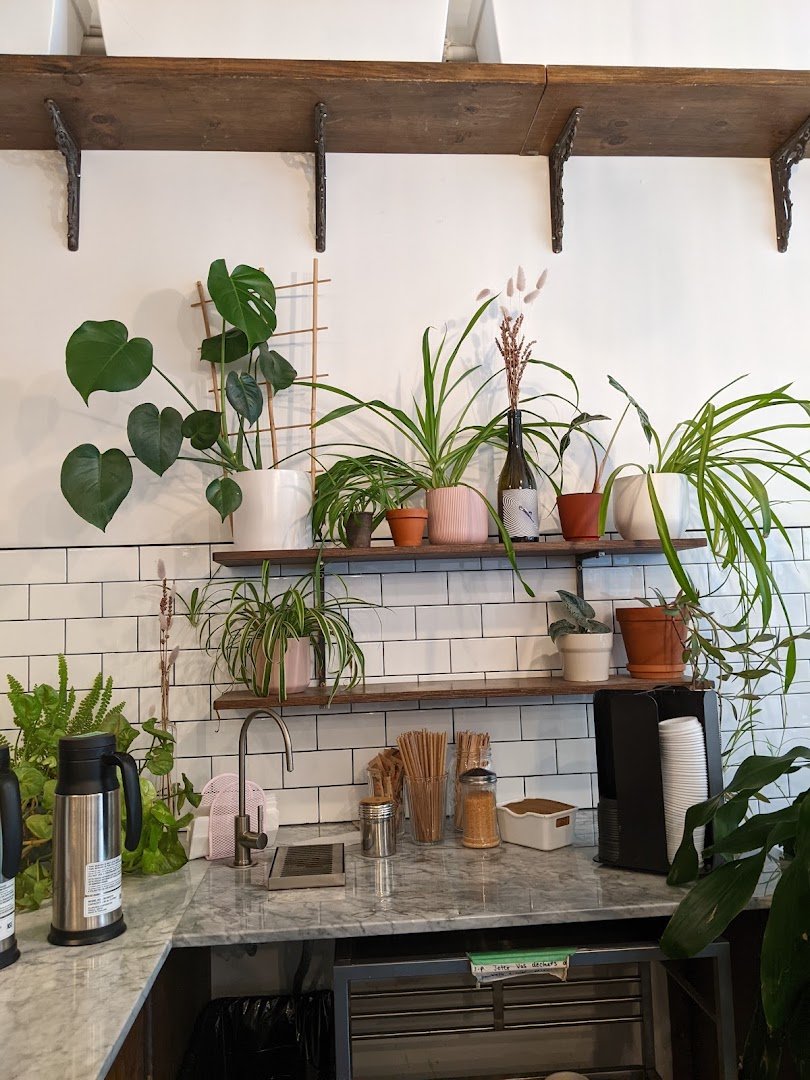 Interior of Café Myriade - Mont-Royal, specialty coffee shop in Montreal