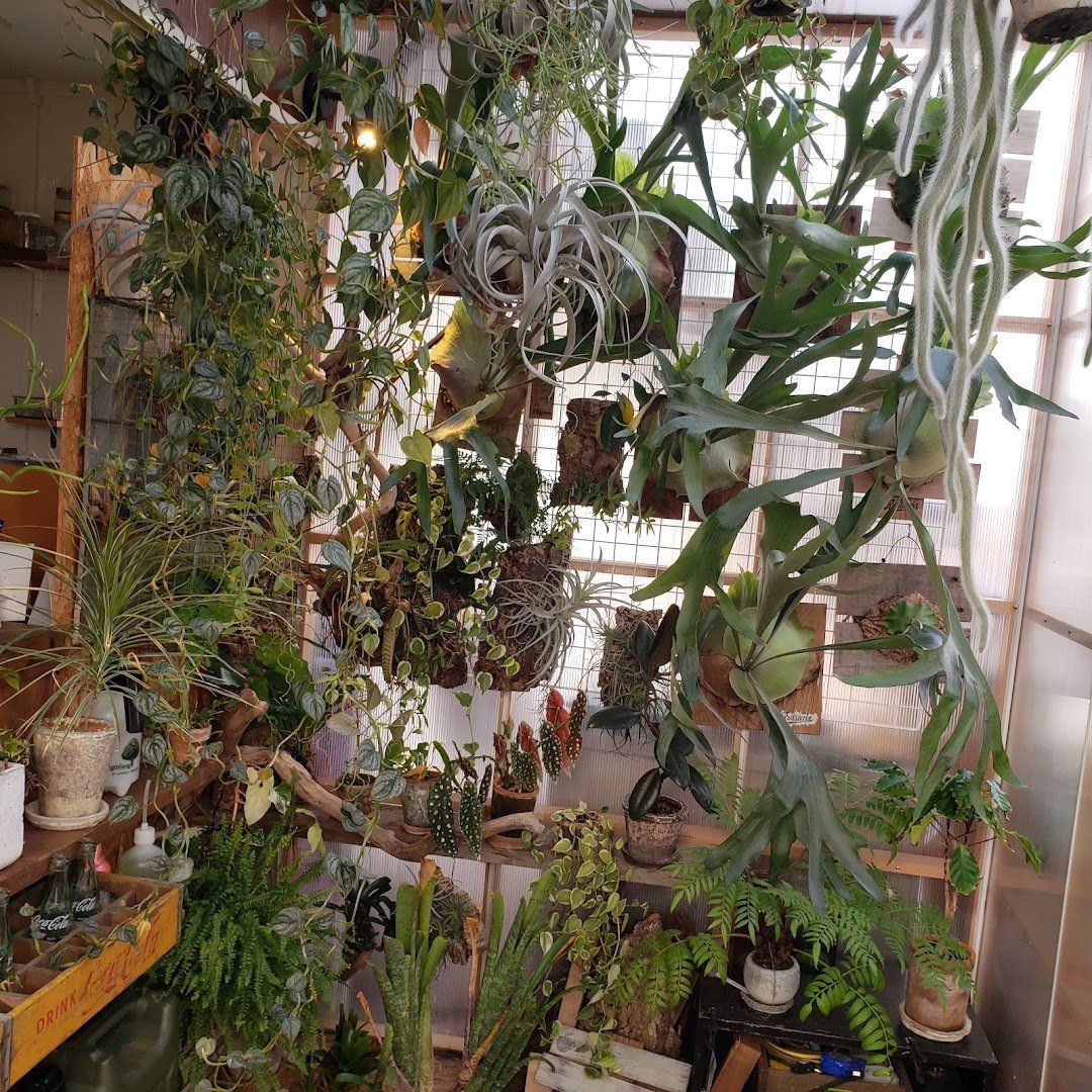 Interior of Roasteria, specialty coffee shop in Osaka