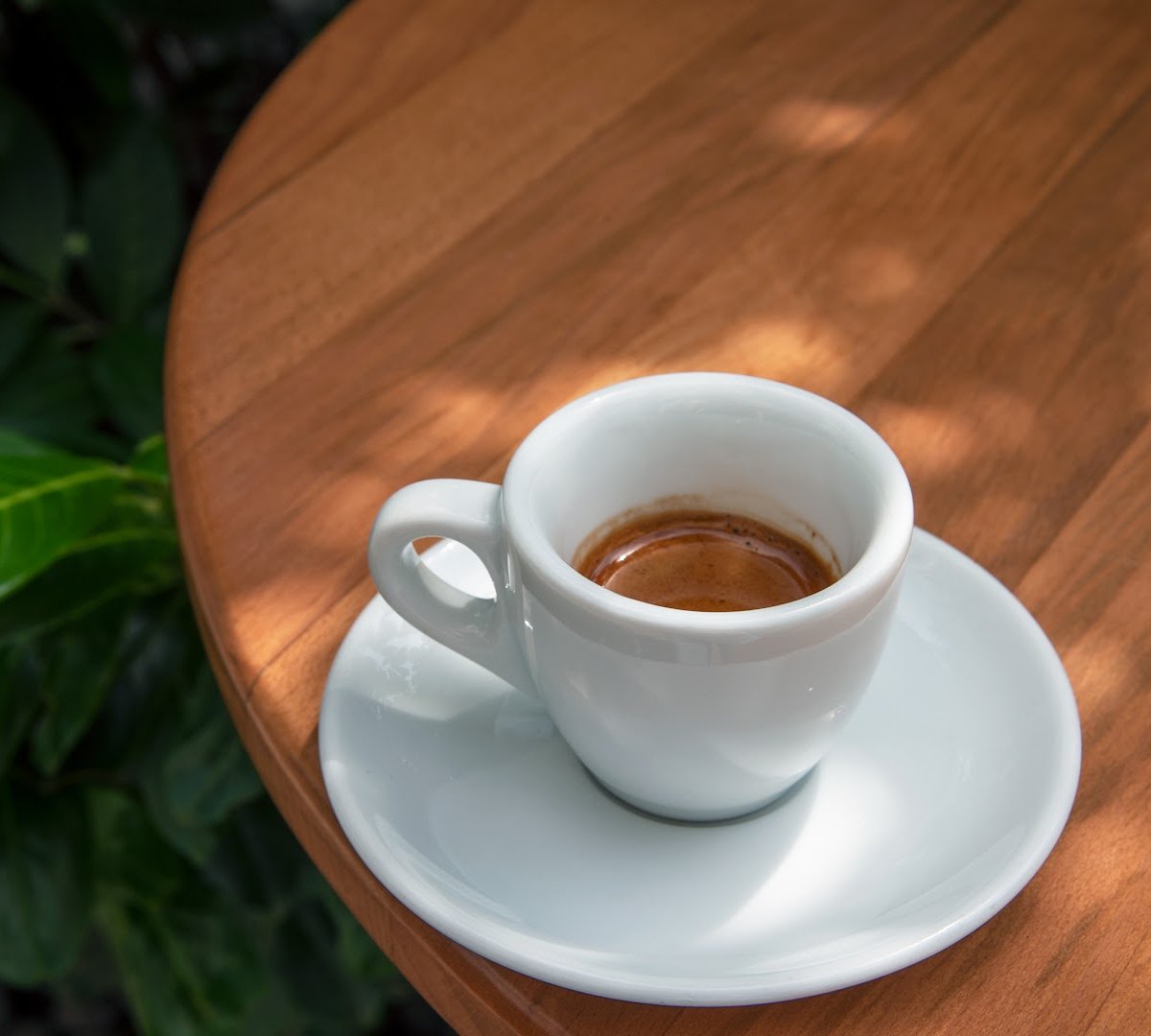 Kelet Kávézó és Galéria specialty coffee shop in Budapest - photo 6