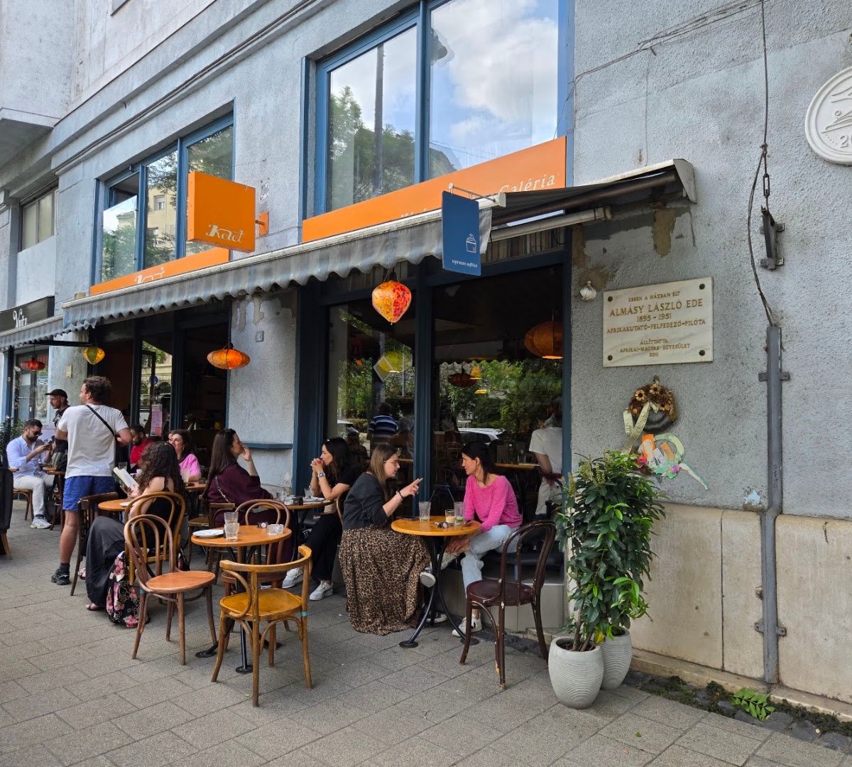 Kelet Kávézó és Galéria specialty coffee shop in Budapest - photo 8