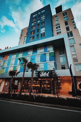 Foxtail Coffee Co. specialty coffee shop in Orlando - photo 11