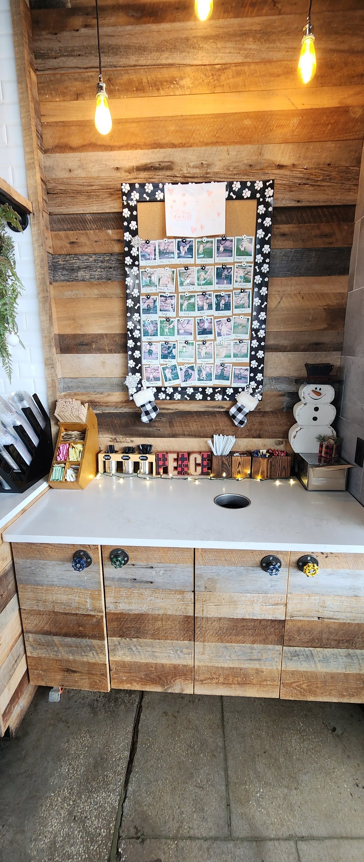 Foxtail Coffee Co. specialty coffee shop in Orlando - photo 14