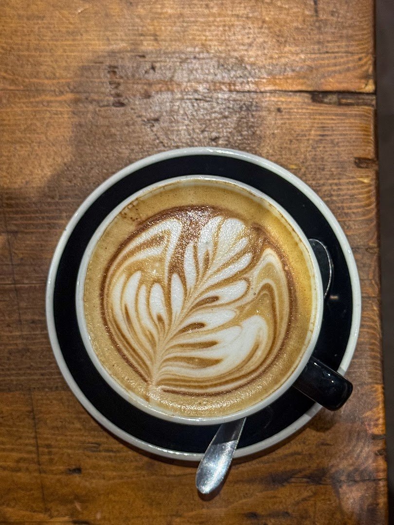 FED 313 specialty coffee shop in Bristol - photo 6
