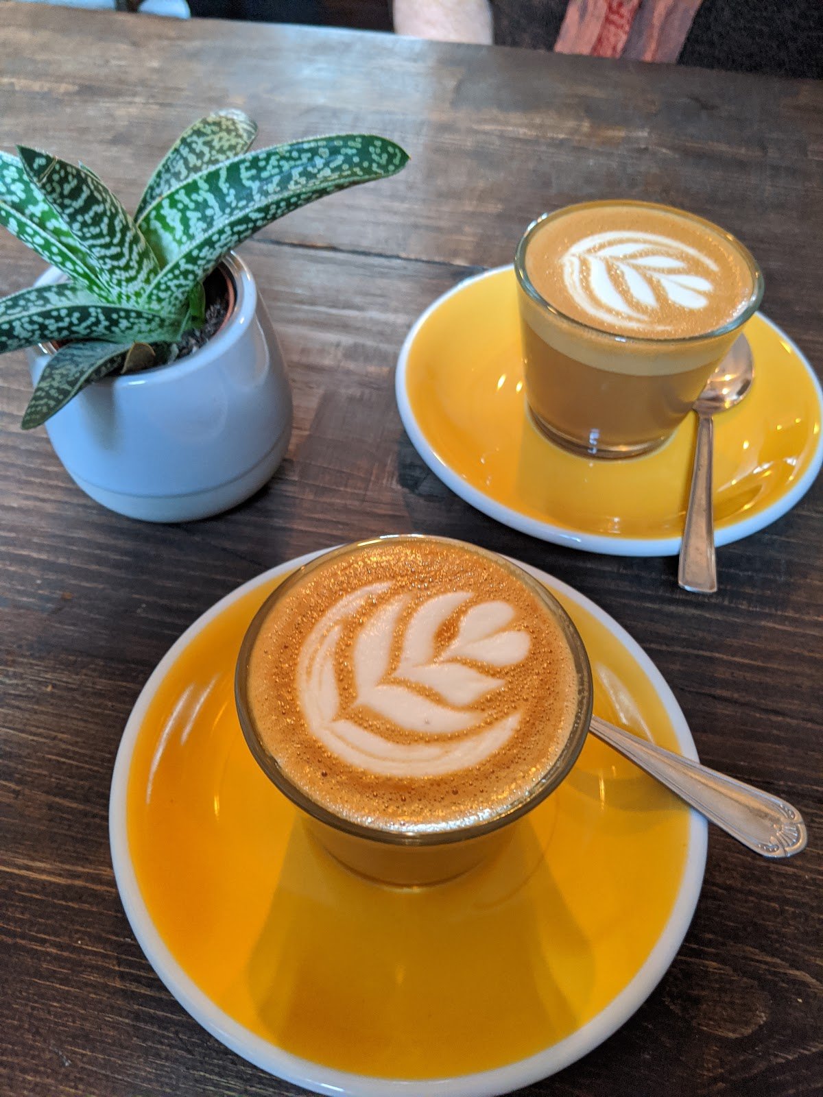 Yellow Warbler specialty coffee shop in London - photo 3