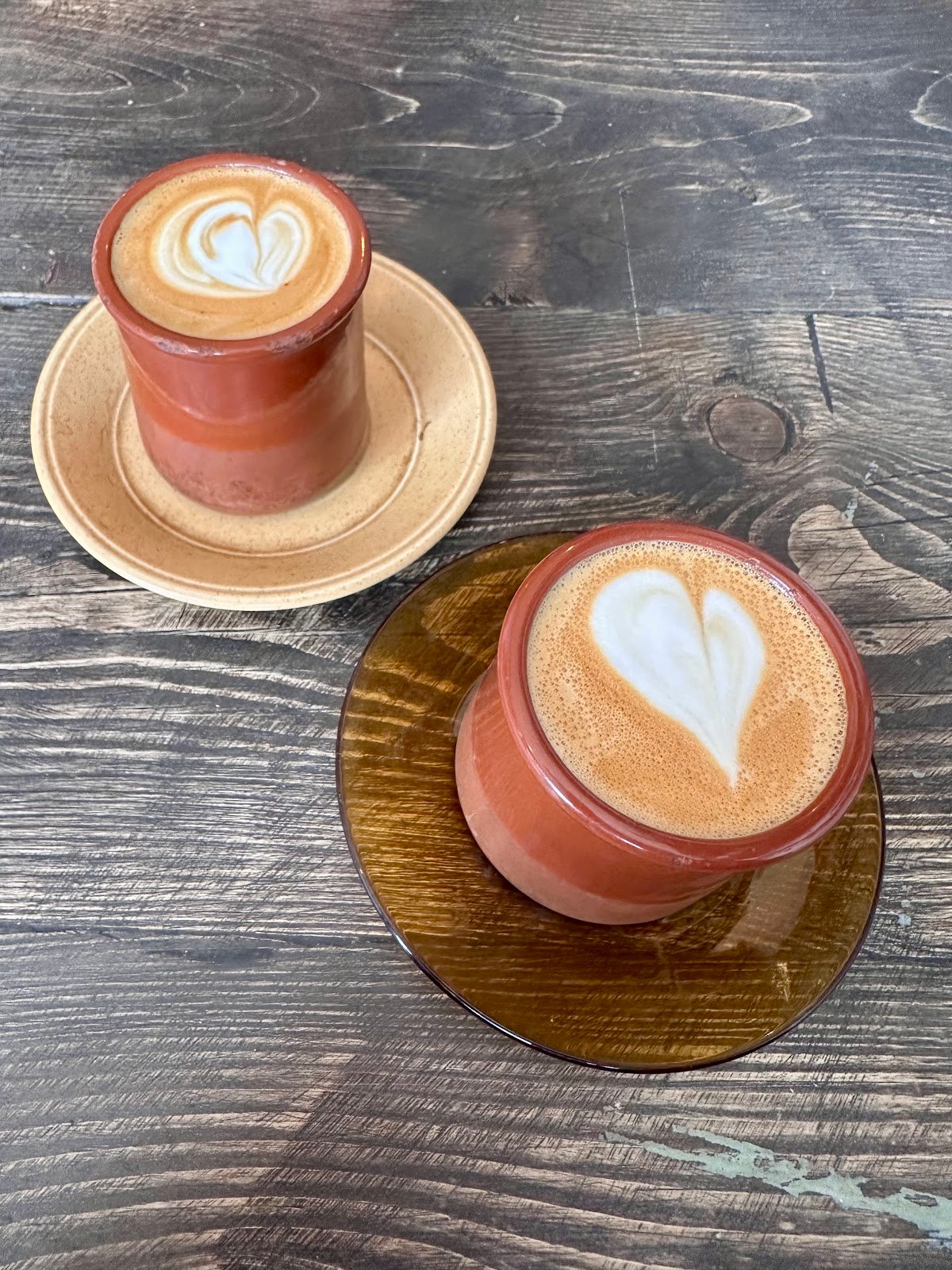 Yellow Warbler specialty coffee shop in London - photo 4