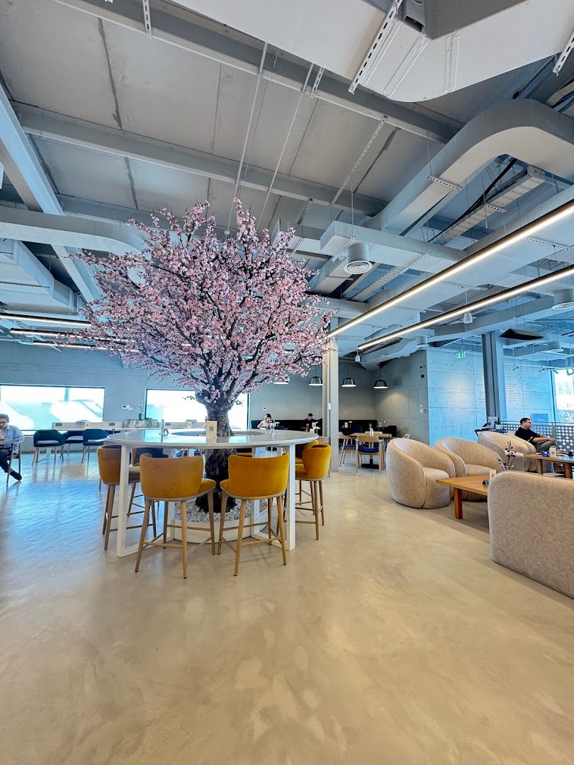 Julith Coffee & Roastery specialty coffee shop in Dubai - photo 3