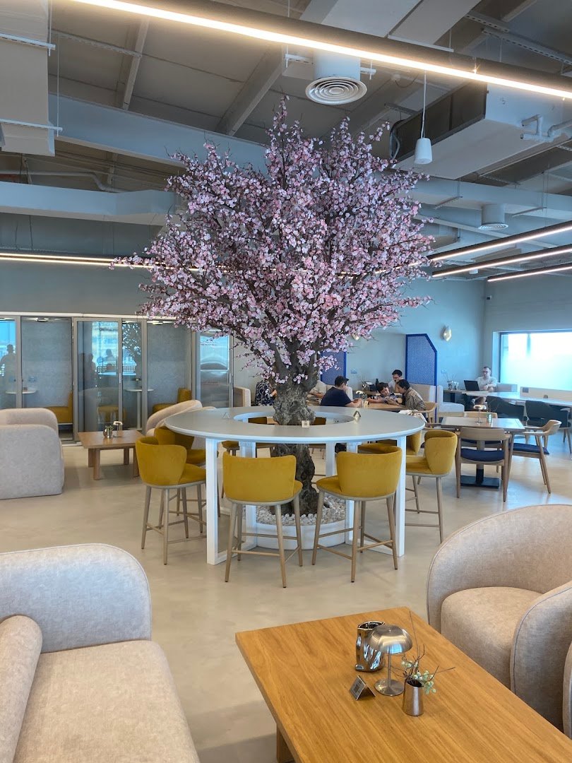 Julith Coffee & Roastery specialty coffee shop in Dubai - photo 6