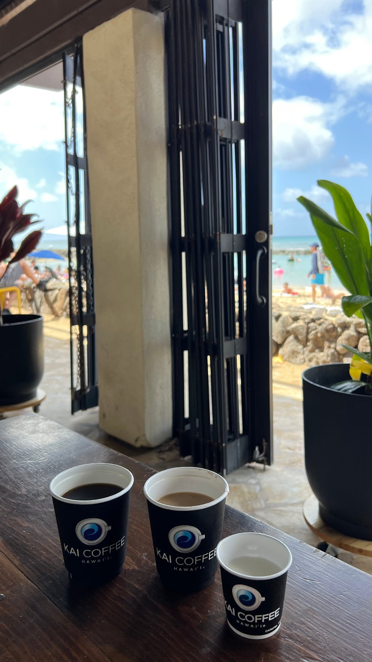 Kai Coffee Hawaii | Queen’s Arbor specialty coffee shop in Honolulu - photo 7