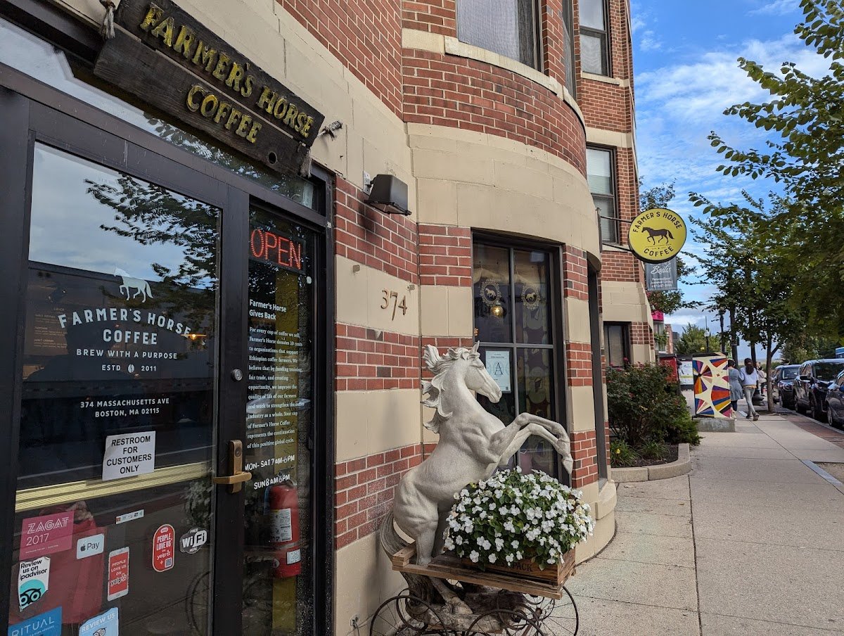 Farmers Horse Coffee specialty coffee shop in Boston - photo 2