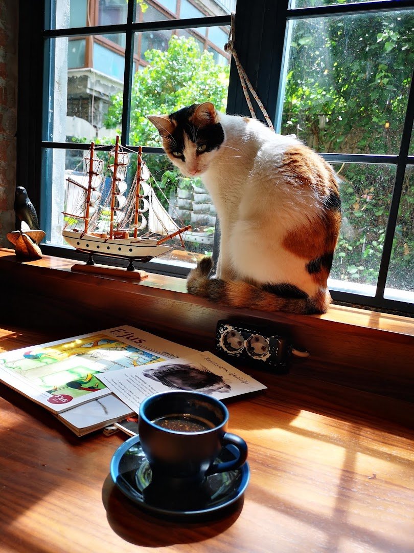 Mars Espresso & Cafe specialty coffee shop in Istanbul - photo 8
