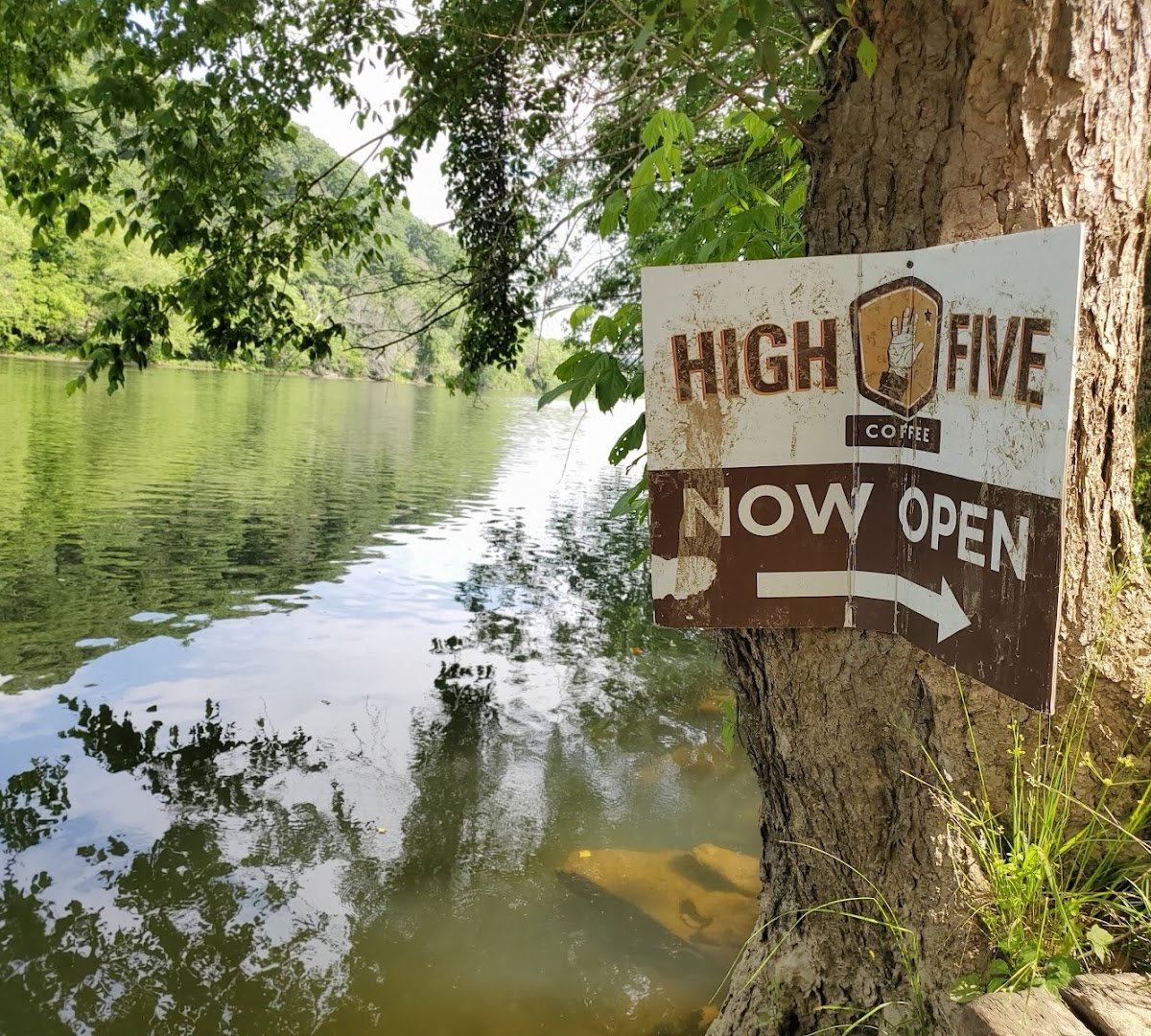 High Five Coffee specialty coffee shop in Asheville - photo 9