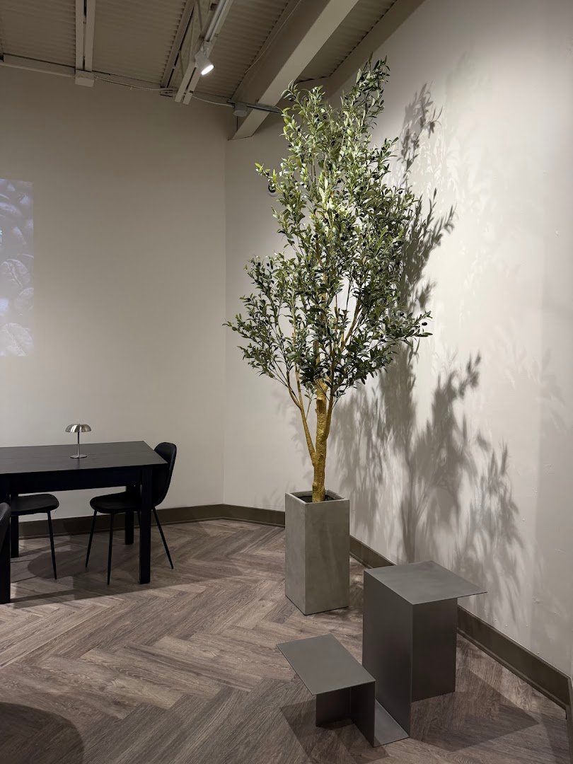 Interior of Tone House Coffee, specialty coffee shop in Cleveland